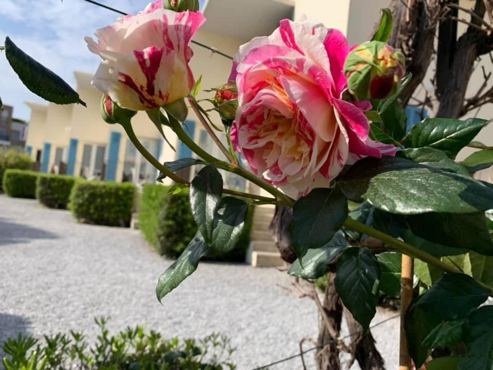 Hotel L'Etape ヴィルヌーヴ・ルベ エクステリア 写真